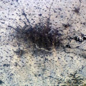 Demonstrations Proliferate As Citizens Gain Awareness Of Health Threats