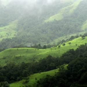 Reforestation, India