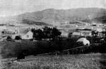 Habitat Loss, New Zealand