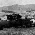 Habitat Loss, New Zealand
