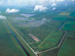 Habitat Loss, Everglades