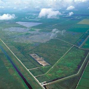 Habitat Loss, Everglades