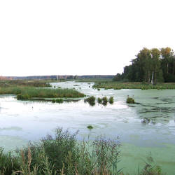 First National Parks Established 