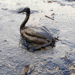 Repeated Oil Spills Plague Russia