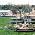 Invasive Species, Water Hyacinth
