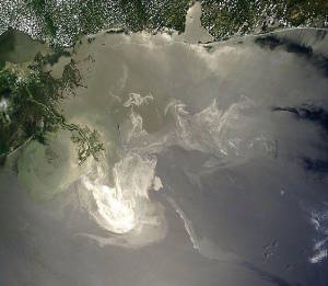 Deepwater Horizon Oil Spill