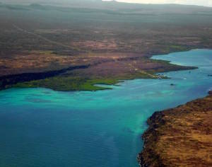 Galapagos Marine Reserve, among the world's most biologically diverse