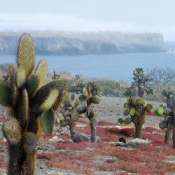 Galapagos Marine Reserve established