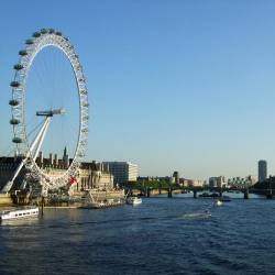 After declared dead, the Thames teems with life