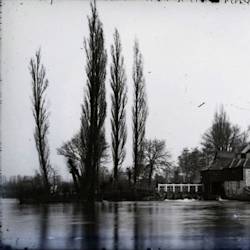 Cleaning Of The Thames