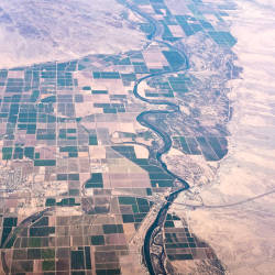 Agriculture dominates water use