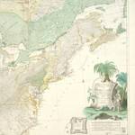 Atlantic Grey Whale Extinct