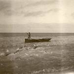 Fishing Around Florida