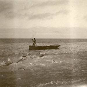 Fishing Around Florida