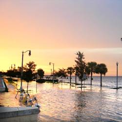 The Impact Of Global Warming On Fishing In Florida, Patty Glick And Jonathan Clough