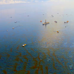 Deepwater Horizon Oil Spill Hurts Fishing Industry, Tampa Bay Times