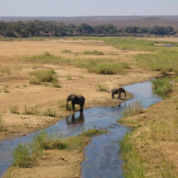 Greater Limpopo Transfrontier Park Established — Savanna Elephants