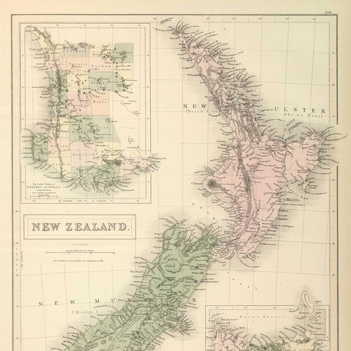 What is missing? Dominican GreenandYellow Macaw