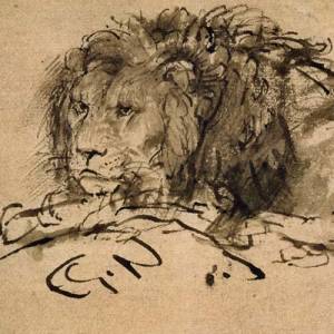 Cape Lion Extinct