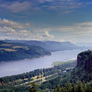 Columbia River Fish