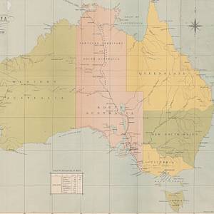 Short-tailed Hopping Mouse