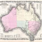 Long-tailed Hopping Mouse