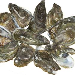 Shelled Seafood Species Struggle To Maintain Shells As Water Chemistry Changes, Elizabeth Kolbert