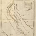 Pemberton's Deer Mouse