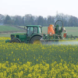 Bayer Patented Imidacloprid As The First Commercial Neonicotinoid