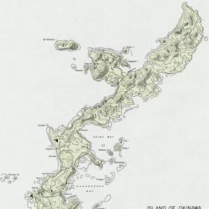 Ryukyu Wood Pigeon