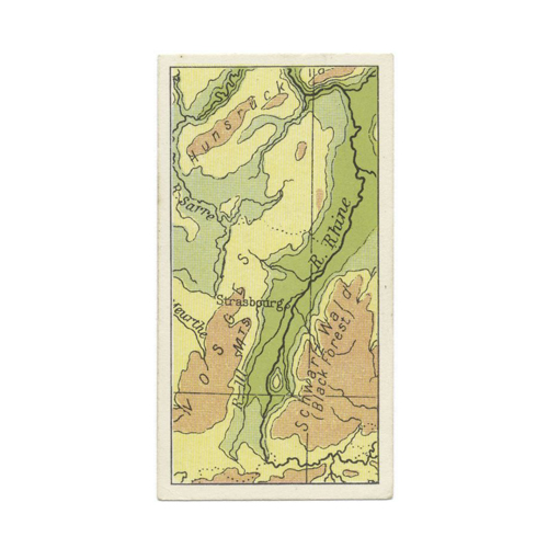 What is missing? Tobias' Caddisfly