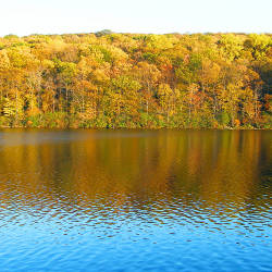  Fracking Removes Vital Water From The Natural Cycle, Sandra Steingraber