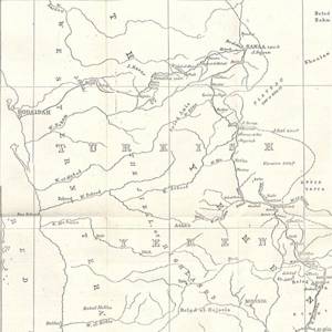 Queen Of Sheba's Gazelle