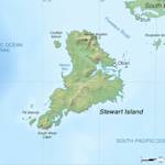 Greater Short-tailed Bat