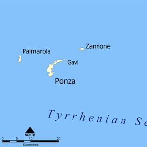 Santo Stefano Lizard