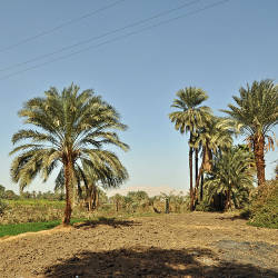 Aswan High Dam Increased Use Of Chemical Fertilizers