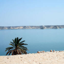 Lake Nasser Shores Are Important Wetlands