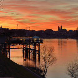 Rhine River Chemical Spill And “salmon 2000”