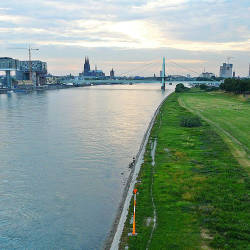 The International Commission For The Protection Of The Rhine Begins A Salmon Reintroduction Program.