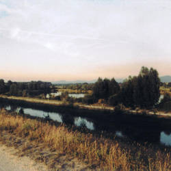 Iffezheim Dam Fish Pass