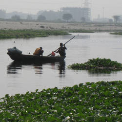 The Yamuna River Development Authority Founded