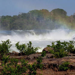 Founding Of Juruena National Park