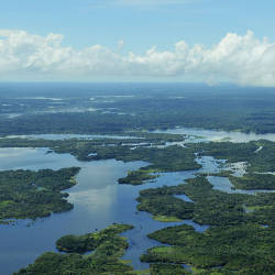 150 Million Acres Of The Amazon Rainforest Protected