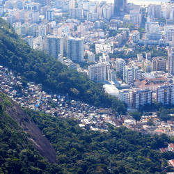 Favelas Threaten Wealthy Neighborhood’s Access To Nature, Alto Leblon Community Bulletin