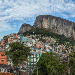 Seeking Closer Connection To Nature, Favela Resident