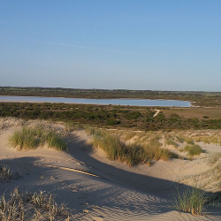 The Coorong Is Dying, Jessica Weir