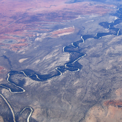 The Importance Of Natural Flooding For Murray-darling Riverine Ecosystem