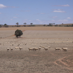 The Millennium Drought (from 2002-2009) Leads To The Water Act, Committing $10 Billion To Water Use In The Murray-darling