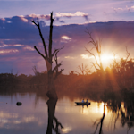 Murray-Darling Basin
