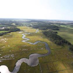 Cape May National Wildlife Refuge established